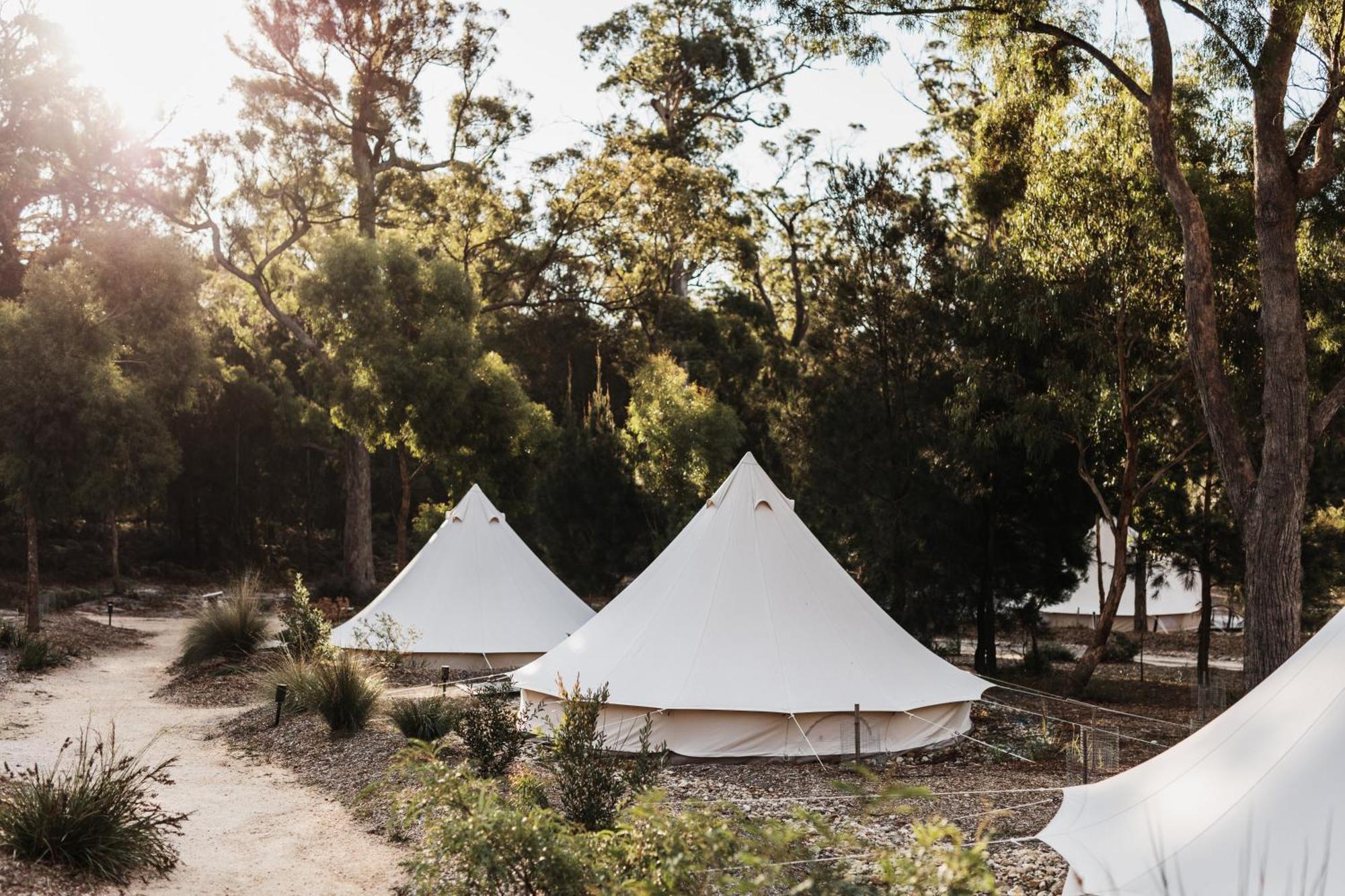 Binalong Bay Bay Of Fires Bush Retreat Bed & Breakfast エクステリア 写真