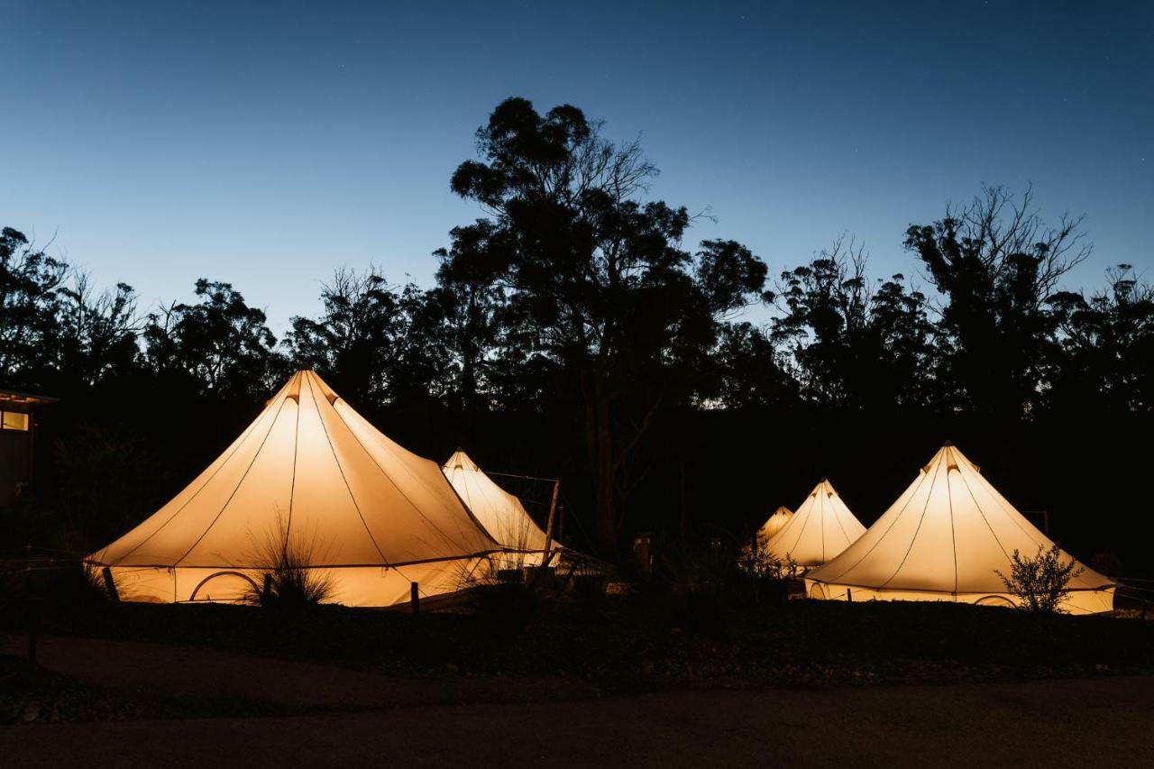 Binalong Bay Bay Of Fires Bush Retreat Bed & Breakfast エクステリア 写真