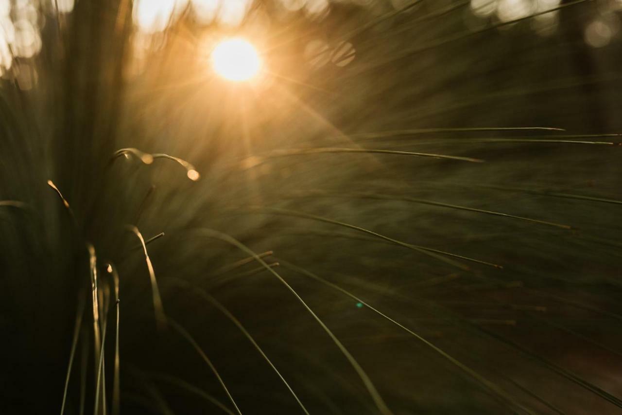 Binalong Bay Bay Of Fires Bush Retreat Bed & Breakfast エクステリア 写真
